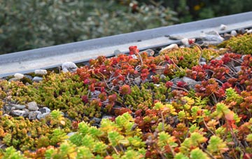 the cost of Lower Allscott green roof installation